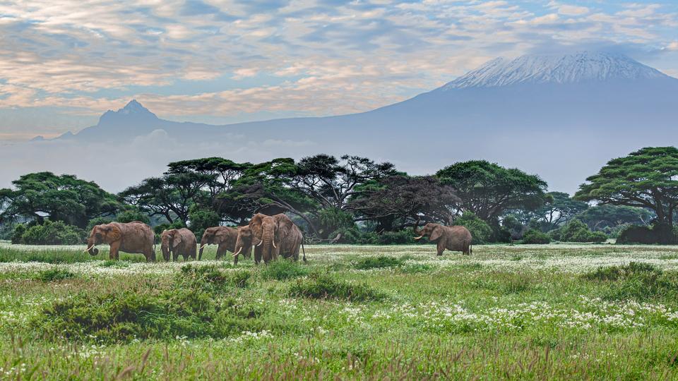 Travel scene representing Kenya
